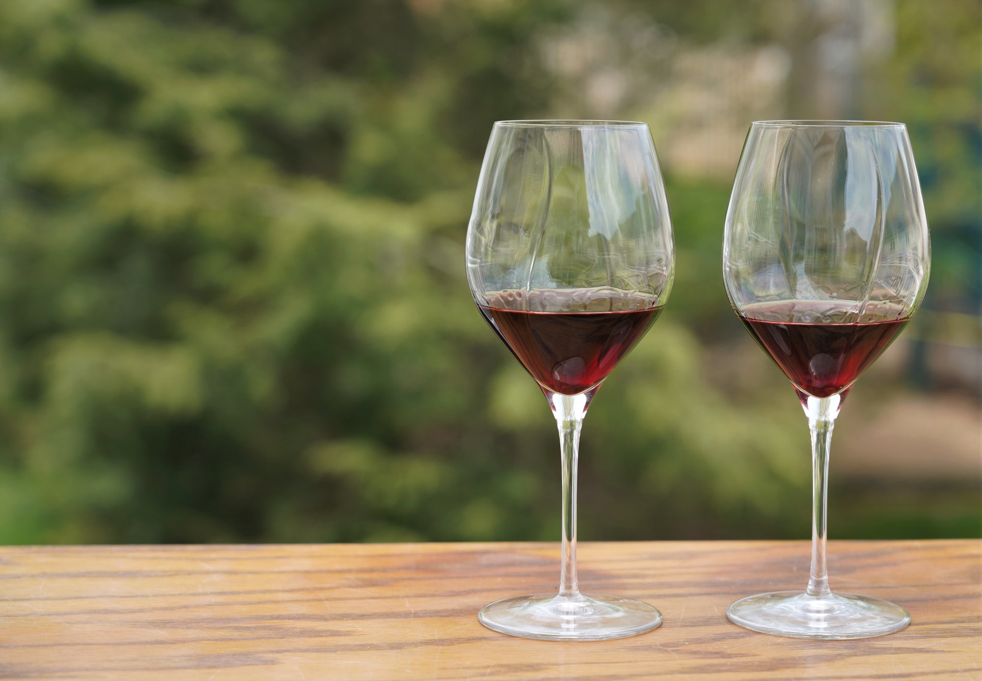 Palavino Aerator Stemmed Wine Glasses